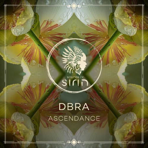 00-dbra-ascendance-sirin165-web-2026-cov