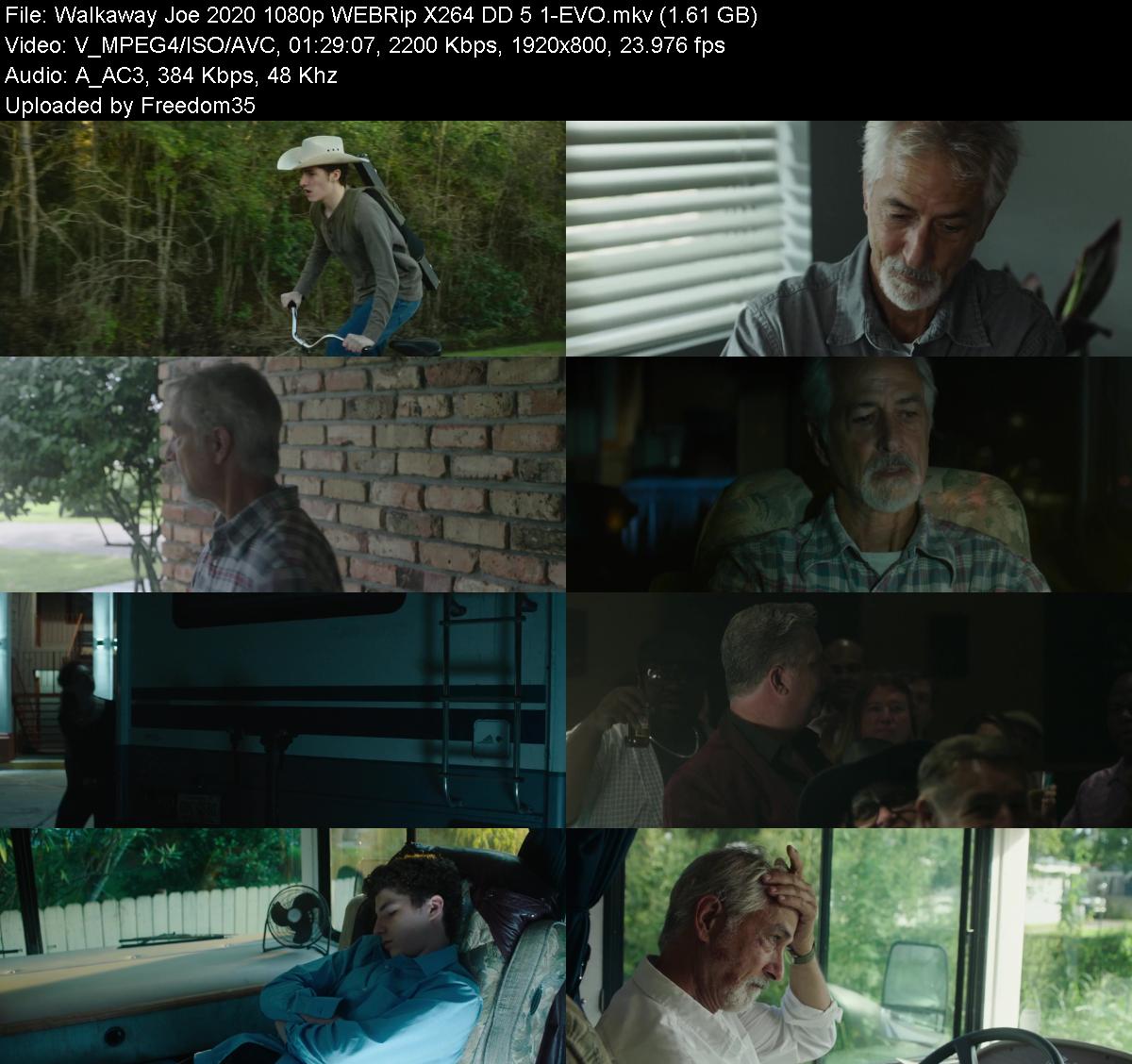 Walkaway-Joe-2020-1080p-WEBRip-X264-DD-5