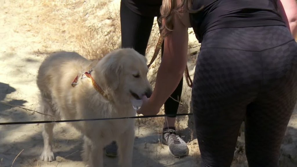 [Image: 8ee33t4hmarb.jpg]