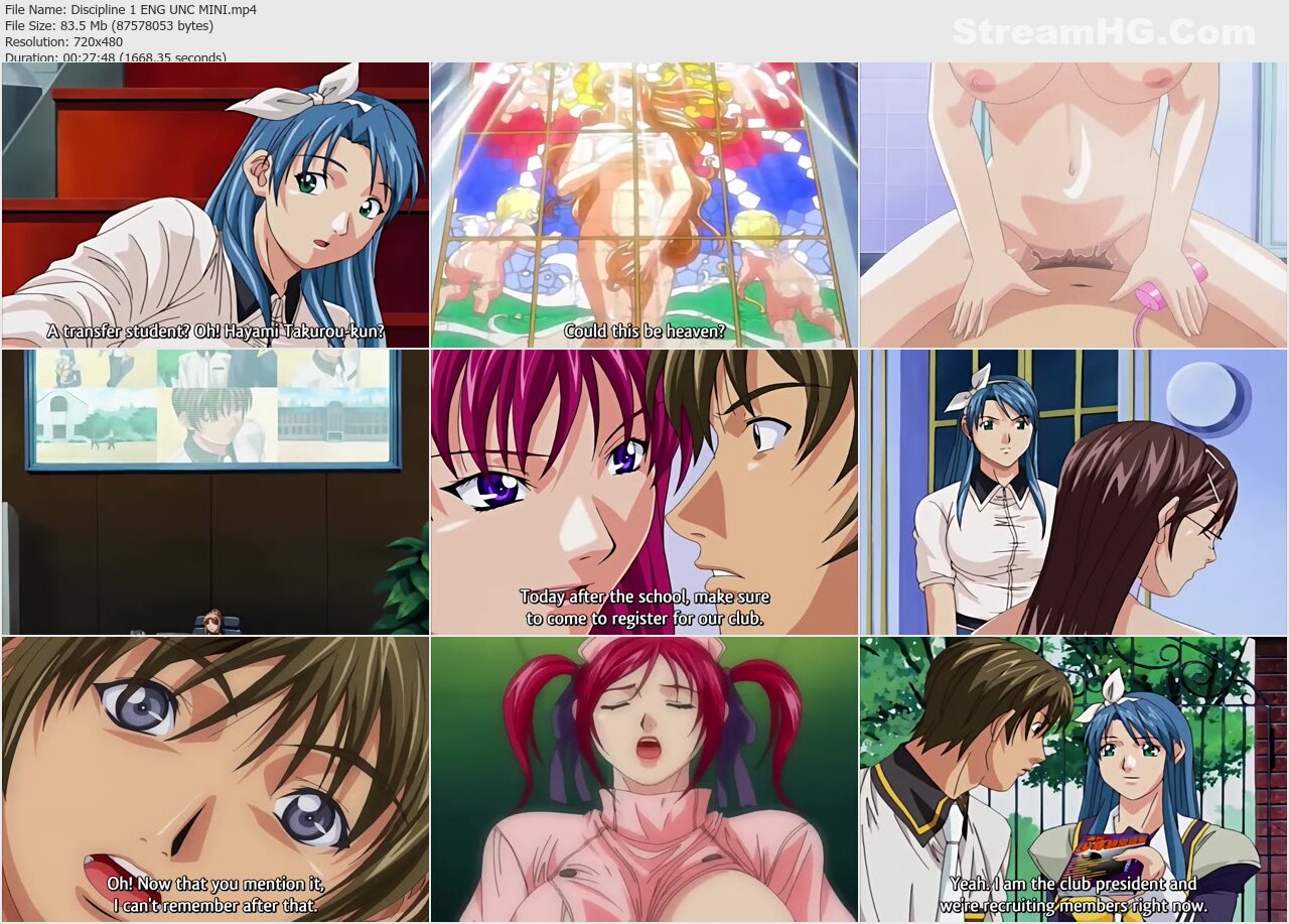 Discipline: The Hentai Academy