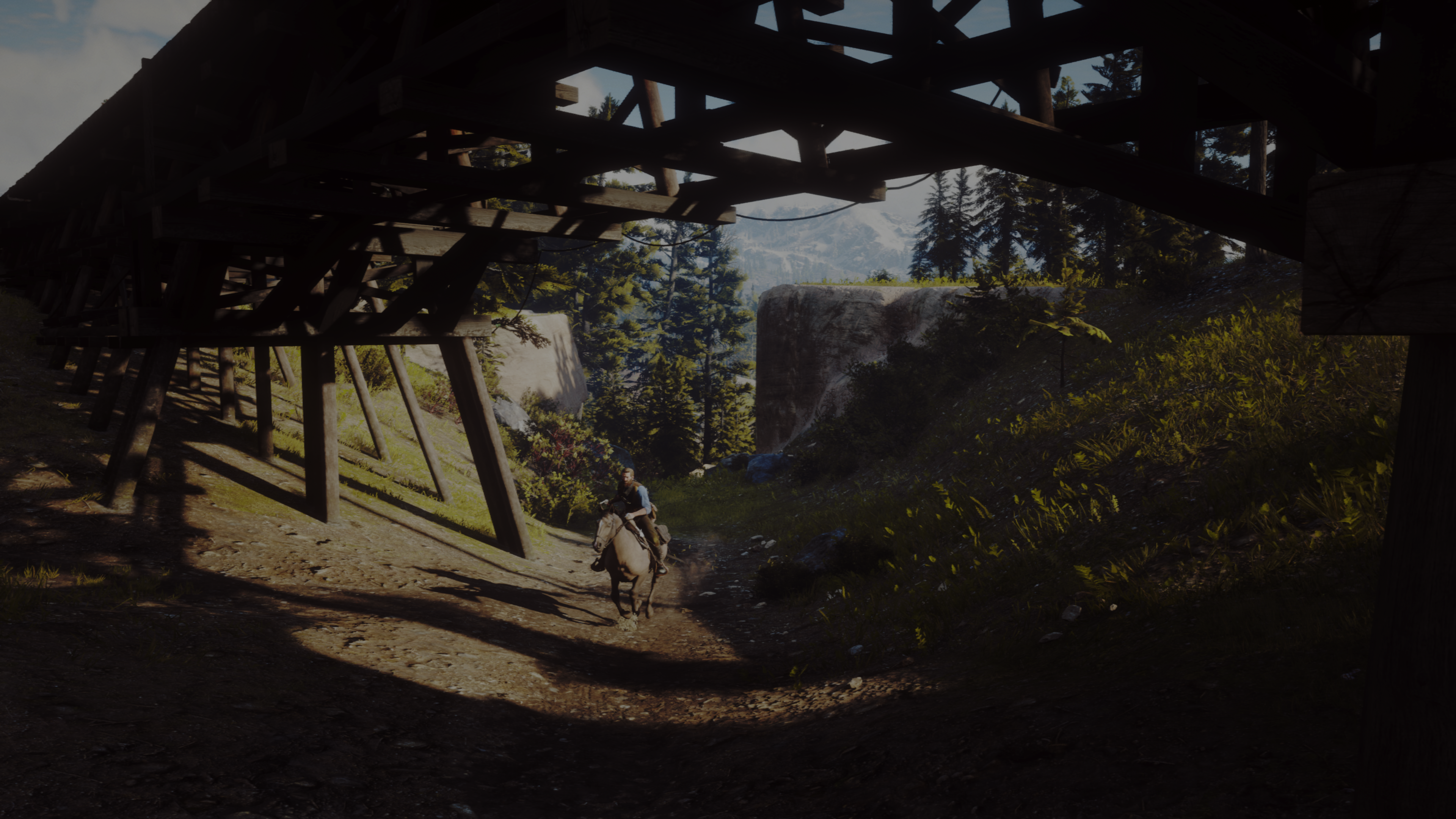 Red-Dead-Redemption-2-20250117165851.png