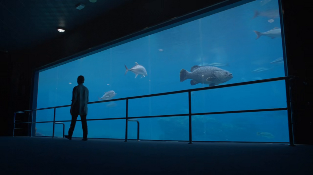 [Image: 9lx7l4q3ibgk.png]