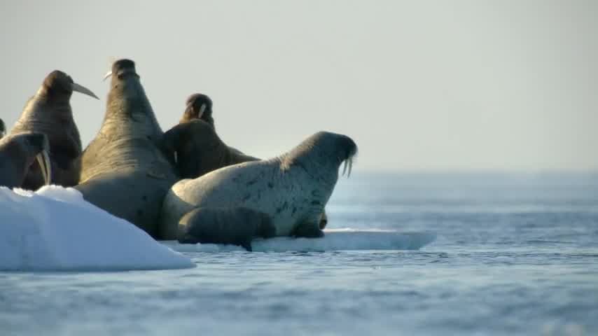 [Image: 0n2u3wjljb0i.jpg]