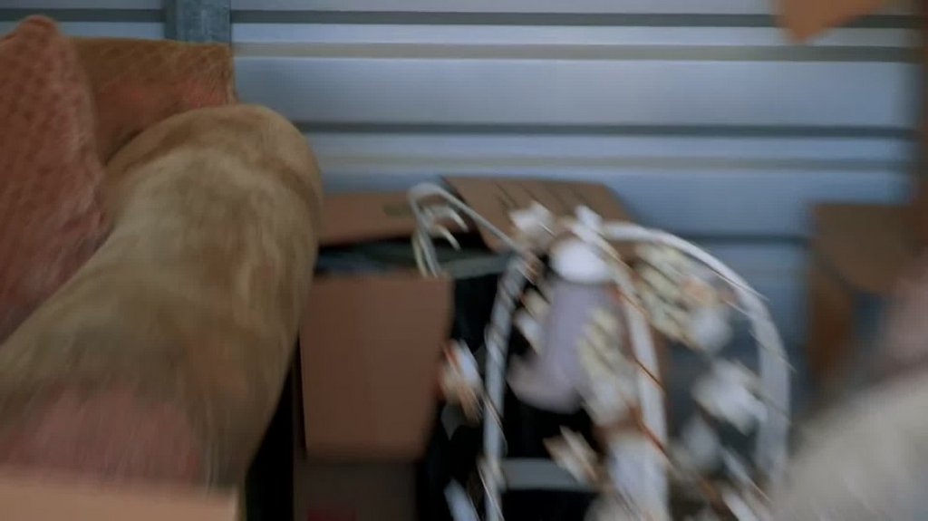 [Image: zu66ar7ka0fl.jpg]