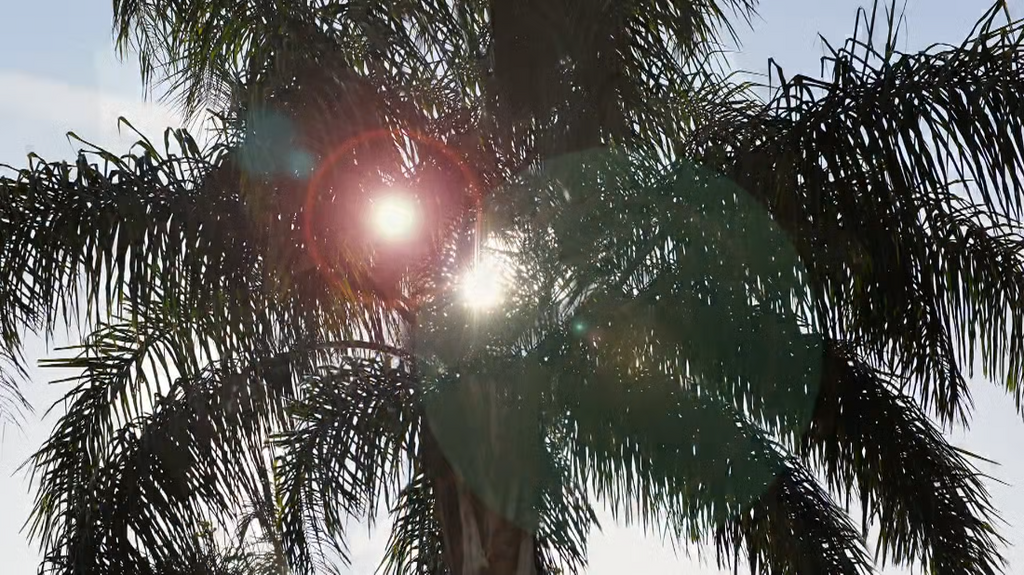 [Image: ffk00qve4qr2.png]