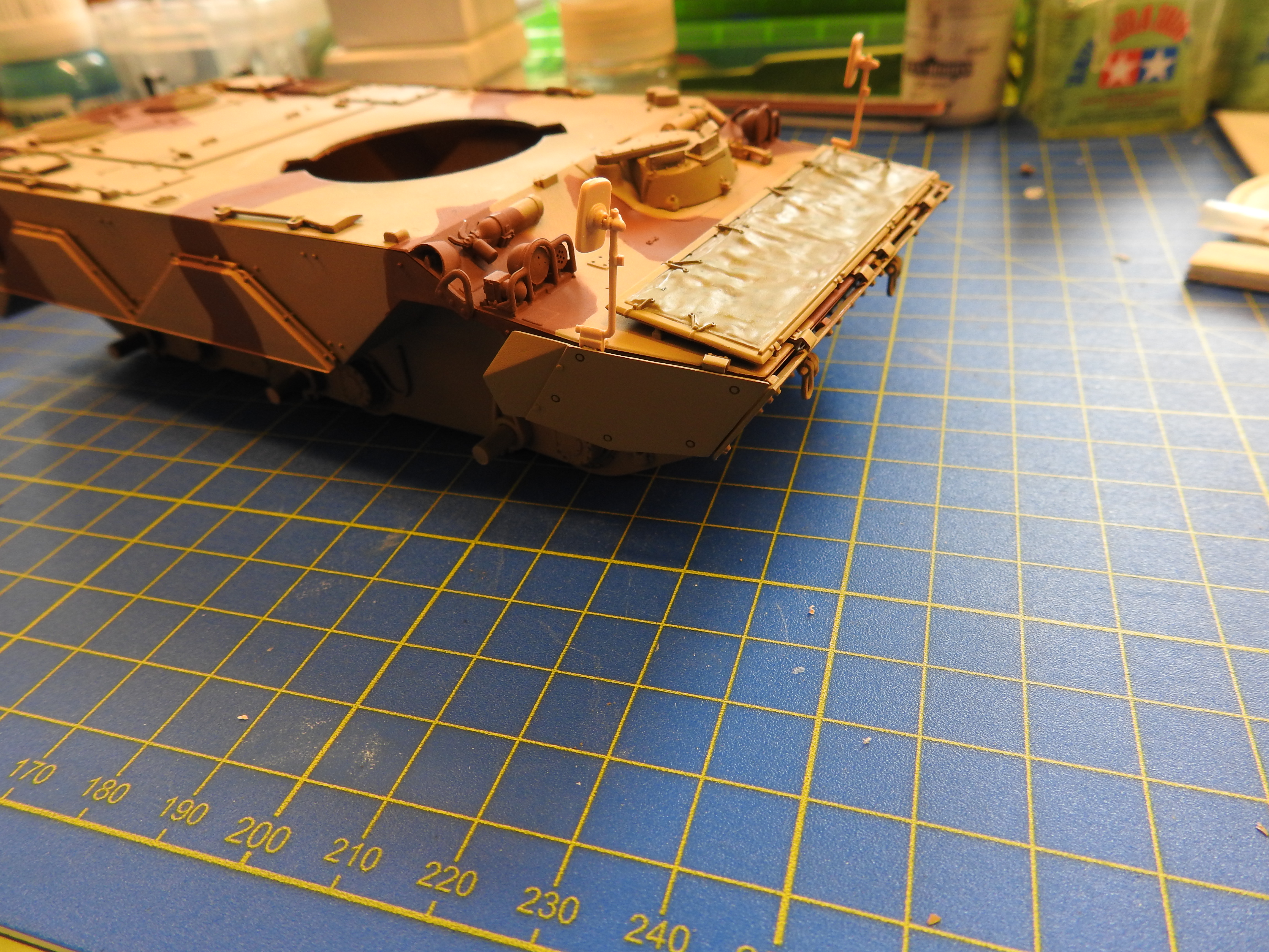 AMX-10RC 1/35 Tiger models DSCN7203