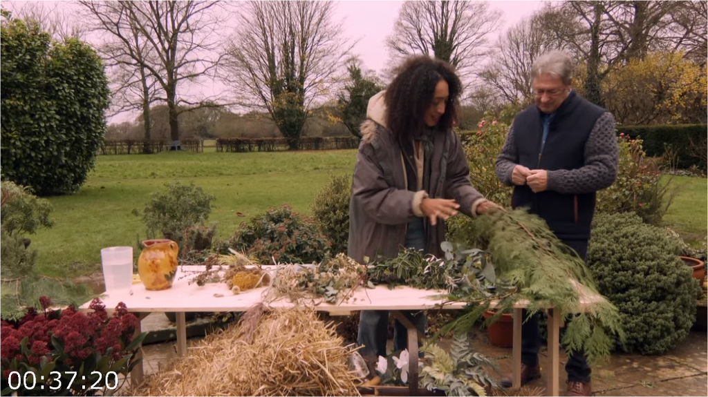 [Image: jbuxf6ha3u00.png]