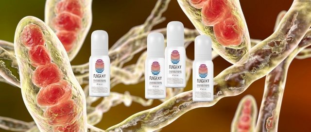 FungaXT vale la pena vedere