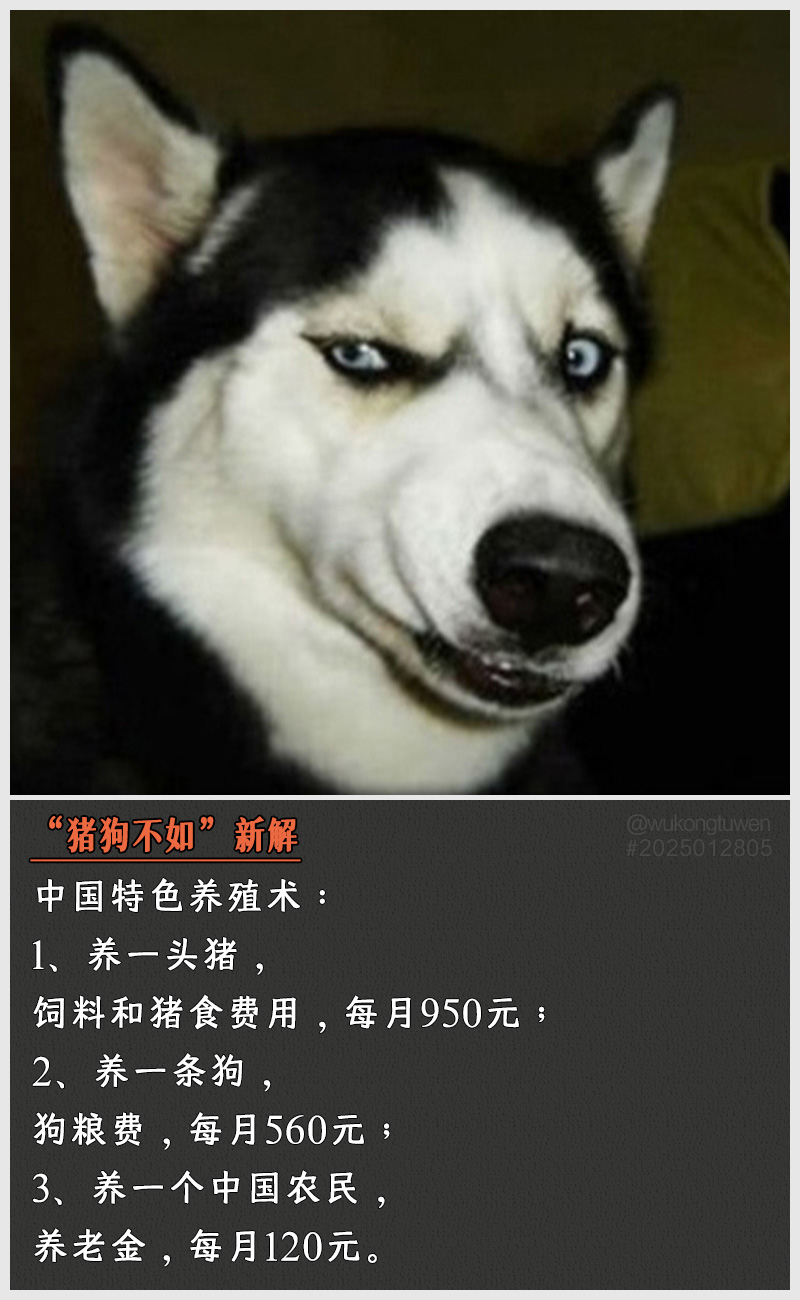 https://i.postimg.cc/qpC6V8Fy/2025012805.jpg