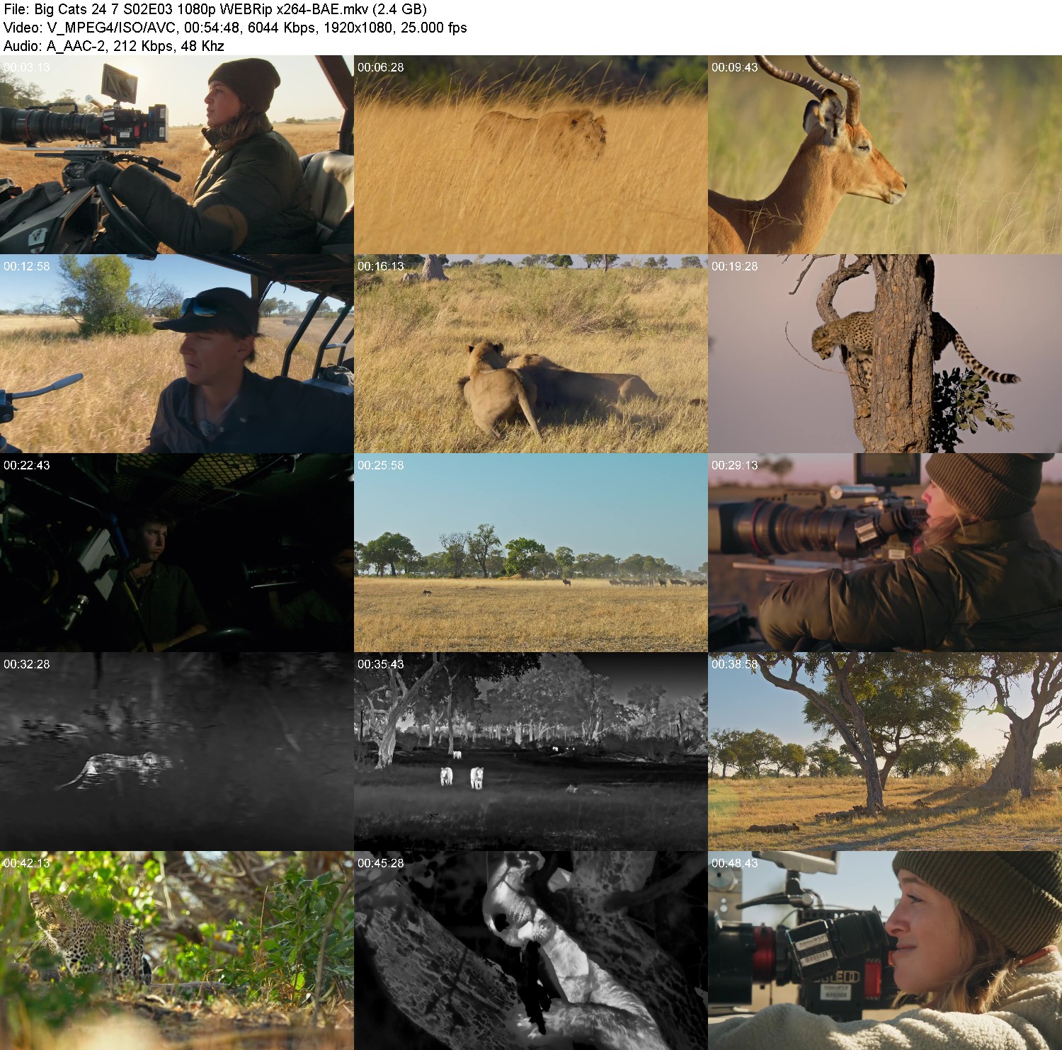 [Image: ad23dtpu5aa3.jpg]