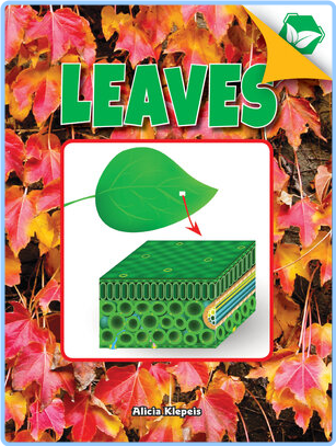 [Image: 7ub3u3mthmr4.png]