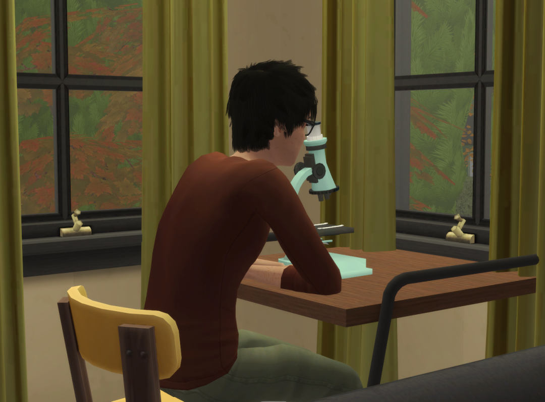 Sims2-EP9-RPC-2024-08-18-17-19-22-23