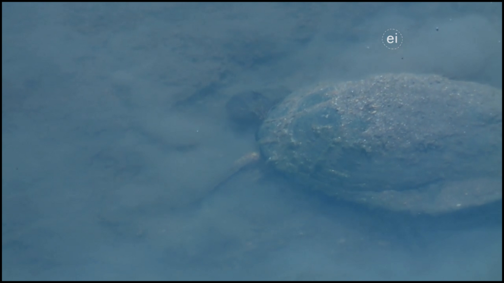 [Image: hxfn9b69du3d.png]