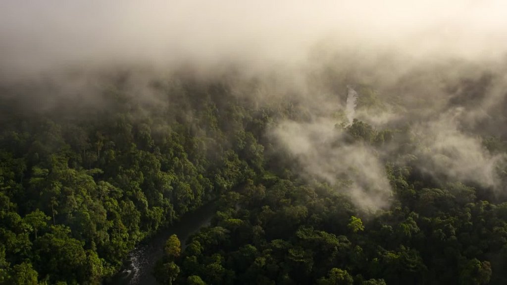 [Image: dcwcs67pq8h4.jpg]