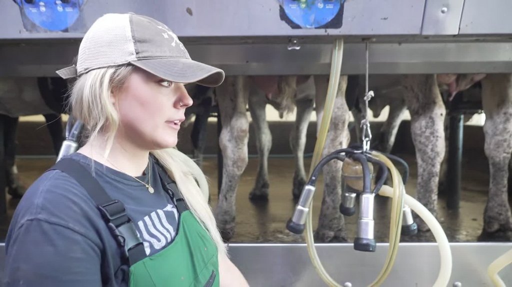 [Image: 1co2z51zvlbf.jpg]