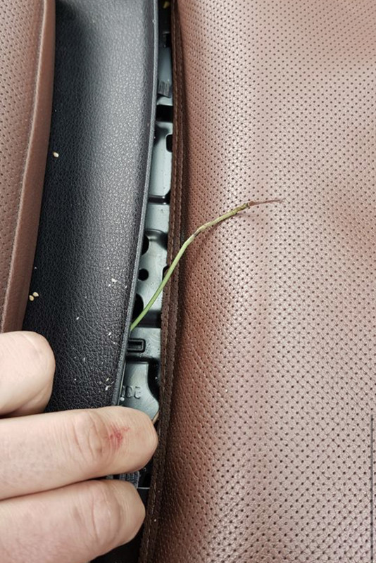 31FC429E-8F02-45F2-8635-3B7C3E8285CB