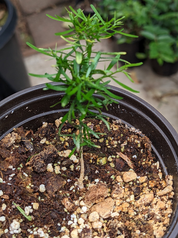 PXL_20230601_194147389