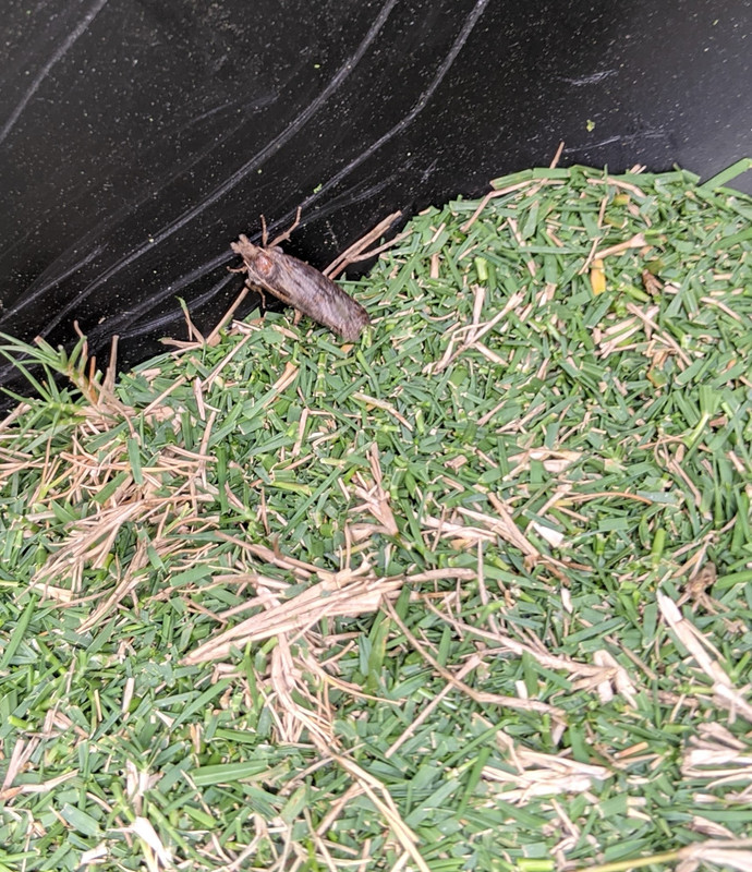 PXL_20200823_212736794.MP