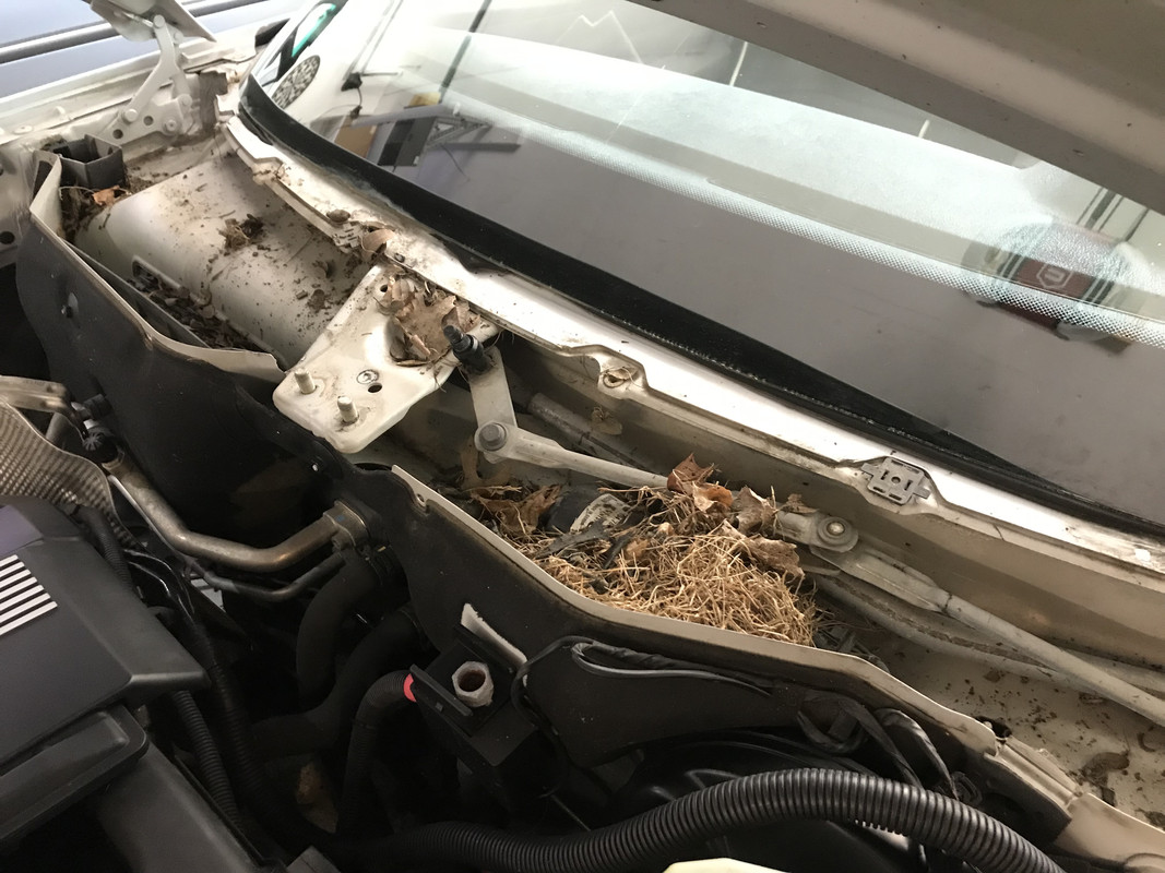 E09F61CF-39B0-4D15-9CC4-EDEA5BFBE199