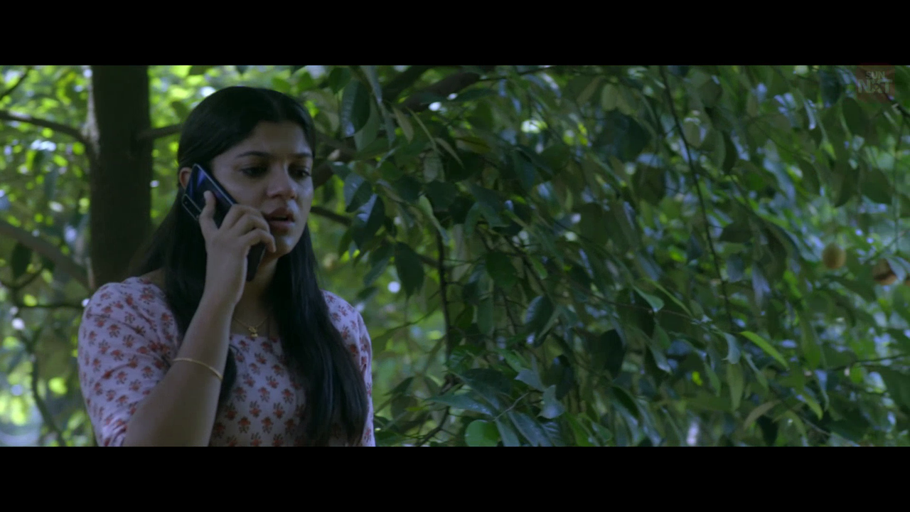 vlcsnap 2026 02 11 15h46m00s466