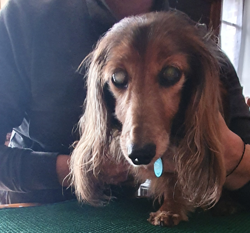 [Image: 20230726-171603.jpg]