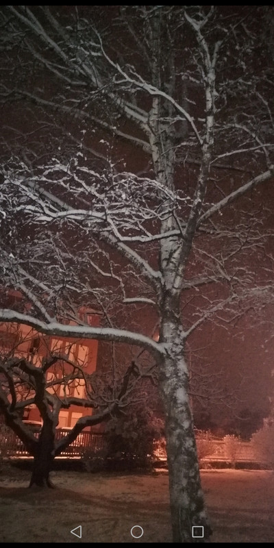 Screenshot_20190127-233502