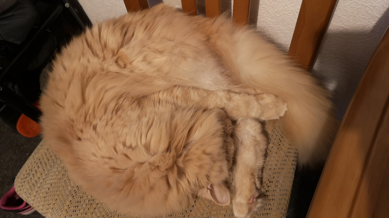 IMG-443c7ad12babb424e5c2f36755bdcc5e-V.j