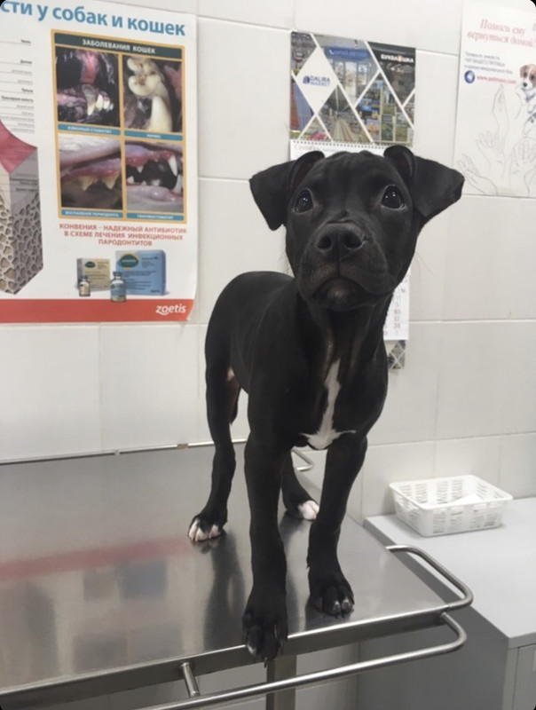 82A952C6-8656-48FB-8108-62CE308E42E7