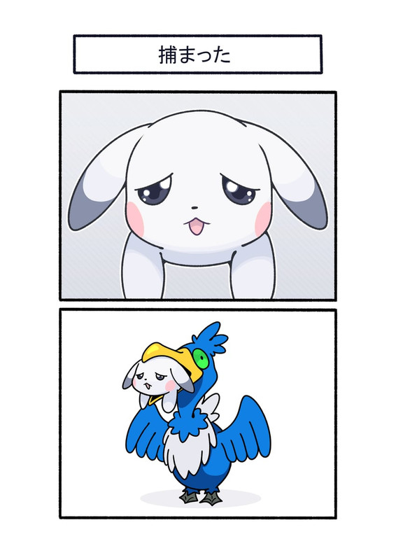 pikachu-cramorant-and-peakychu-pokemon-a