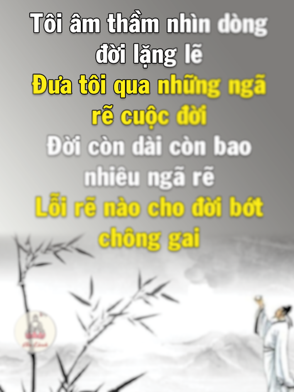 64895807_1099206453599521_6348460266241392640_n (2)