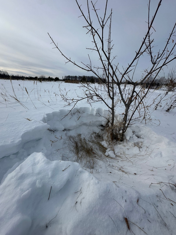 0TSro T68rx LKZ6Rgfg F0JB8QHXh GK2 r FWNGFf UH1h Ynr Wh C c7i EE2k Ggb4w SLx2pk Up Jd HB62Su VLXVWPA