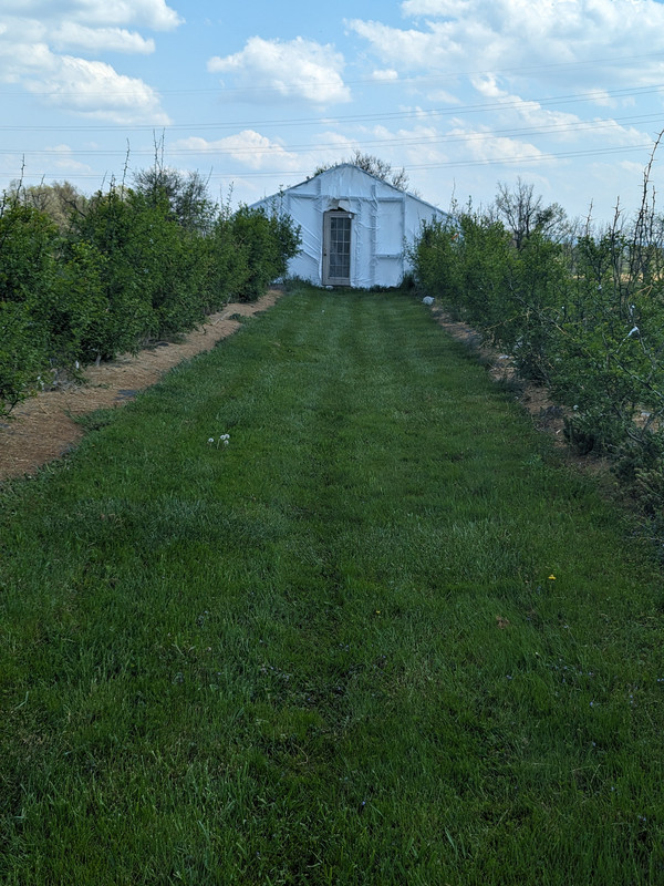 PXL_20240429_182034632