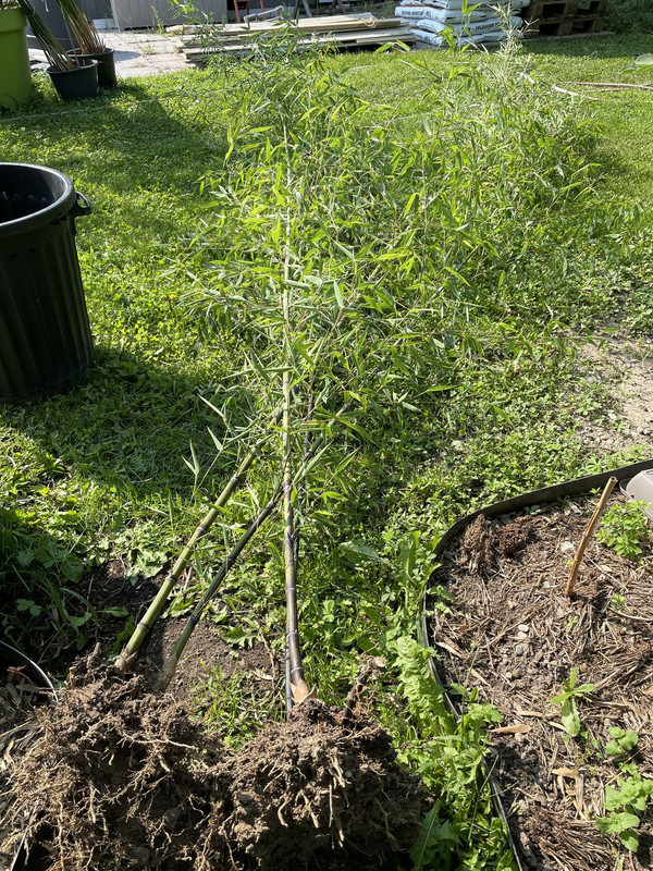 0C7B0CA7-61B1-4494-84DF-52CB45F8DAF9