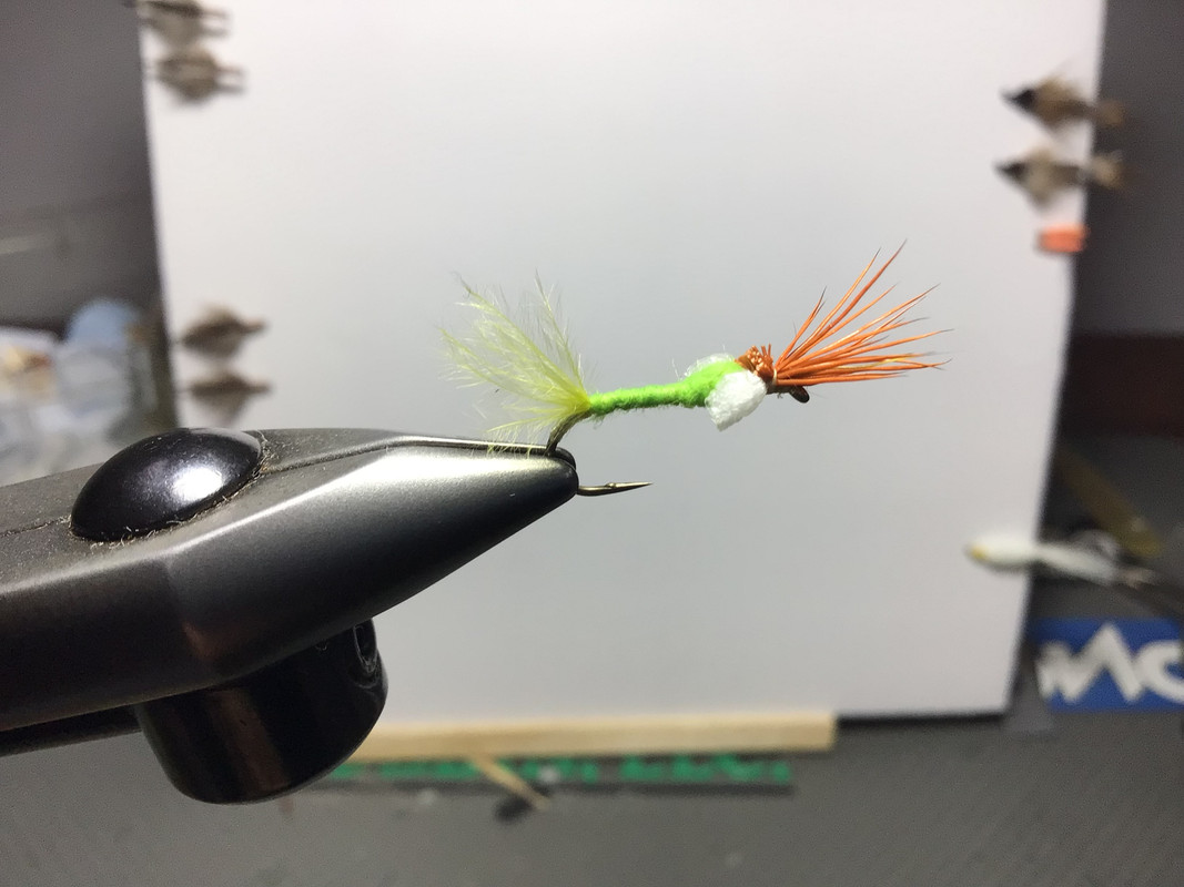 5EE59D31-02DA-4801-AA19-EEEFF7B1BAB9