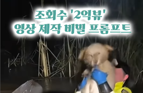 조회수 2억 기록한 강아지 구조 영상