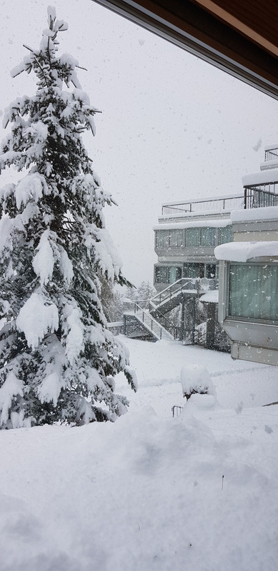 20191108_100955_resized (002)