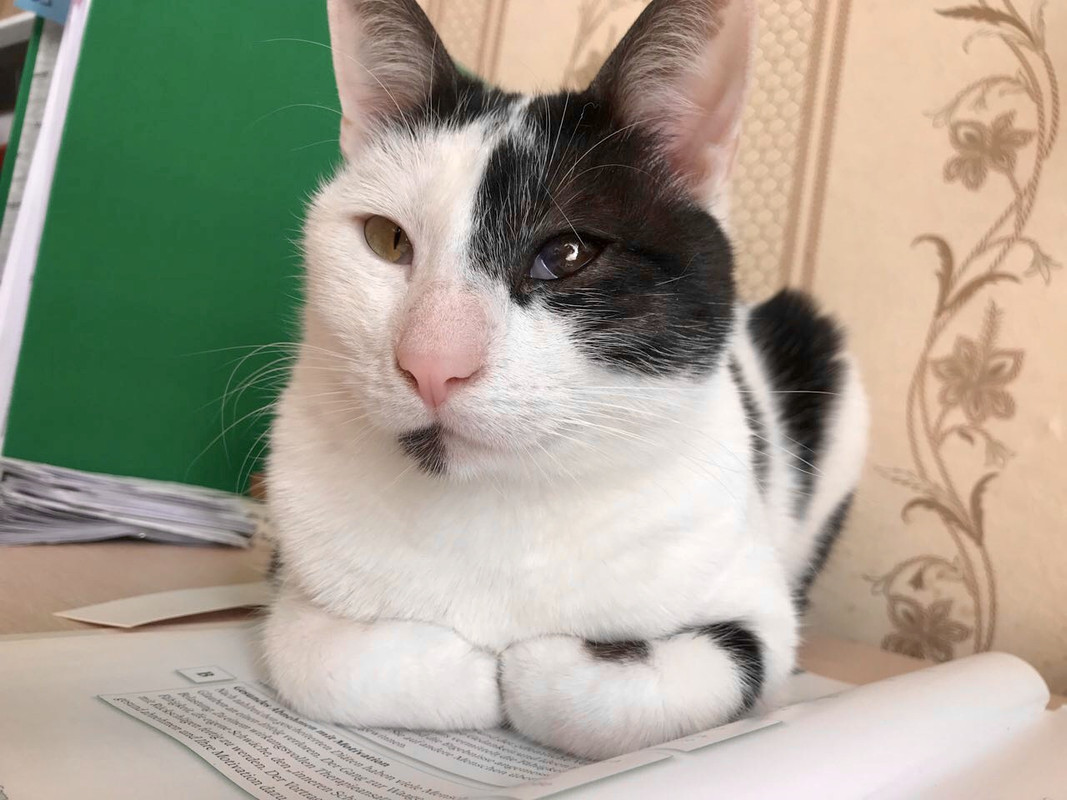 EA20E572-B8C6-449D-95D6-89E2A0E07E23