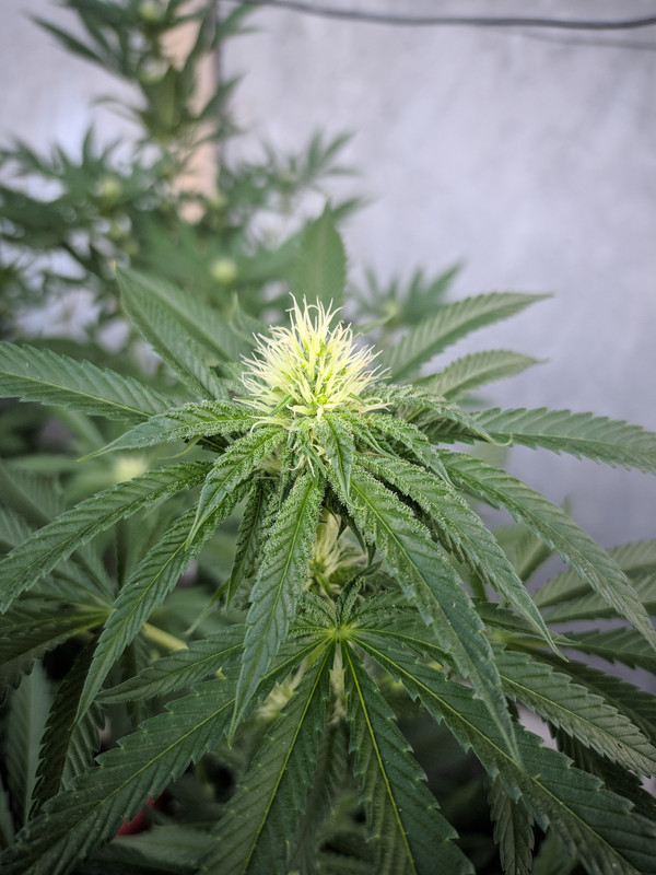 HC_20230201_062245_null