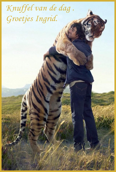 An den Beitrag angehängtes Bild: https://i.postimg.cc/qq36dtRs/Knuffel-van-de-dag.jpg