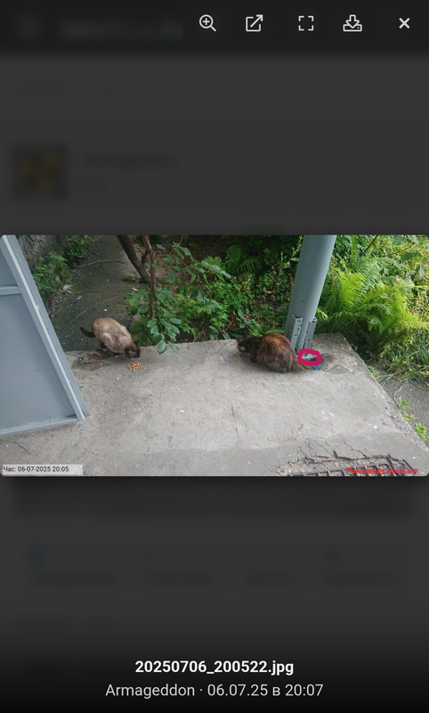 snapshot-labrc-name-1751821638216.png
