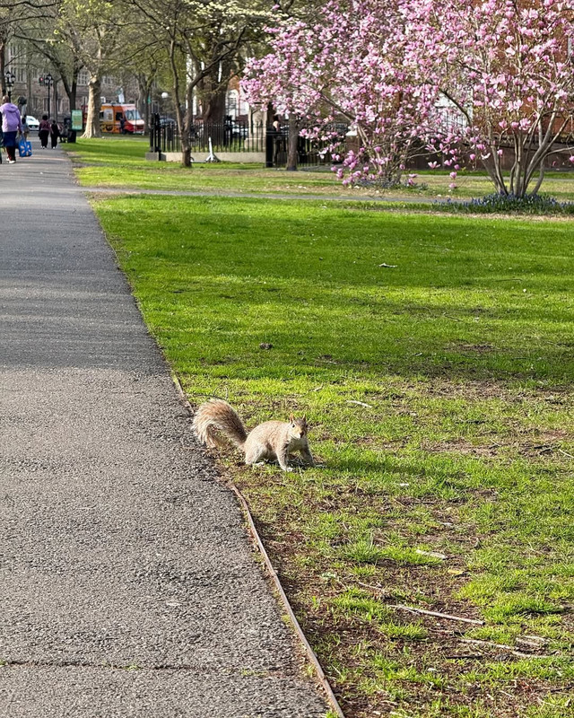 再见就是五月了 (2)