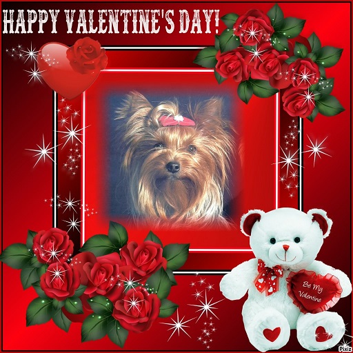 pixiz 13 02 2026 18 20 44