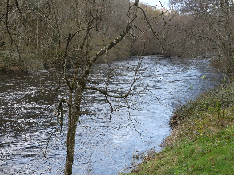 P1090335.jpg