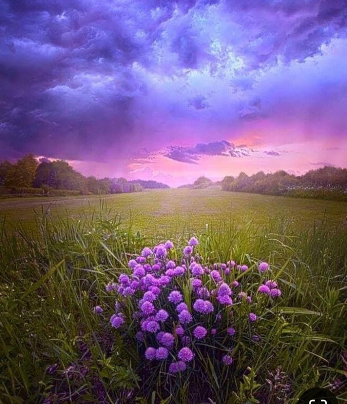 Screenshot_20240529_230626_Pinterest