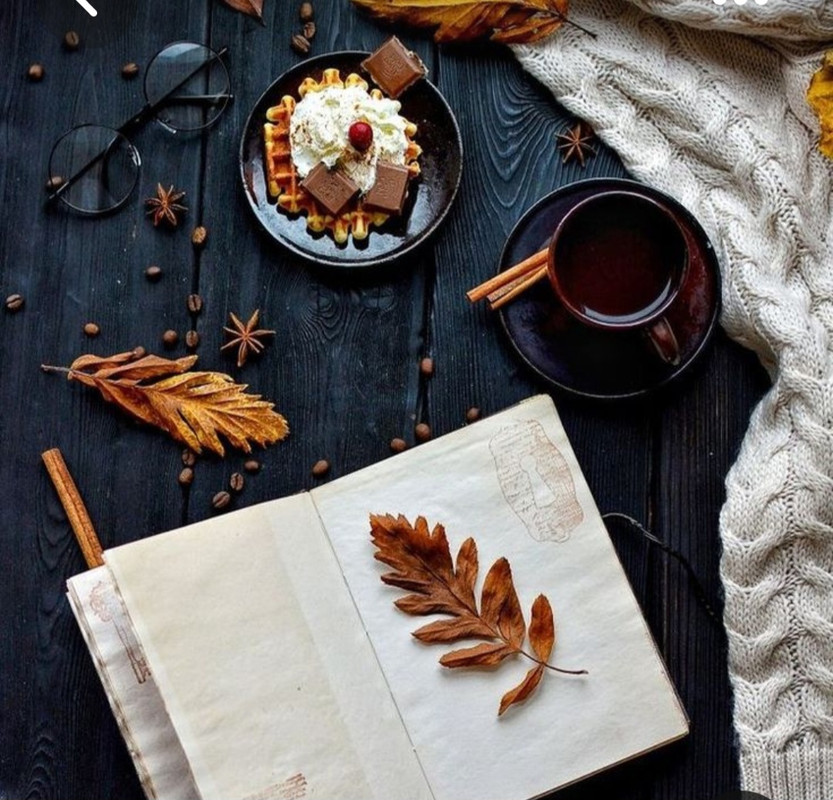 Screenshot_20230330_005635_Pinterest