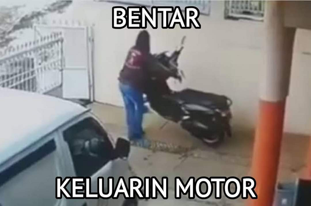 curanmor.png