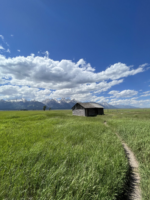 EB479C43-54AE-442E-B892-5E26996EAD75