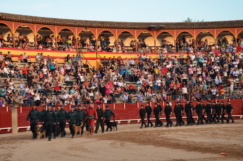 Exhibición Guardia Civil-30-9-2016 - Toledo y sus pueblos-1996/2026 (69)