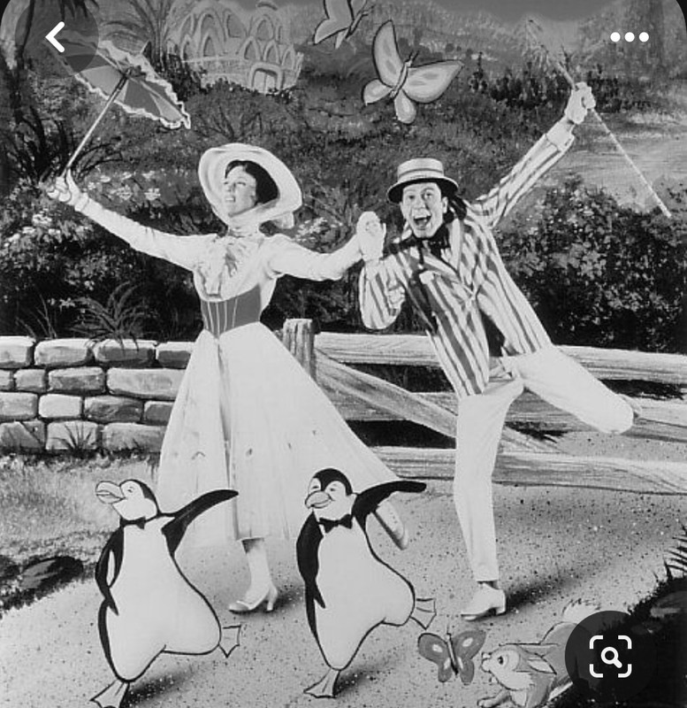 Screenshot_20240220_213323_Pinterest