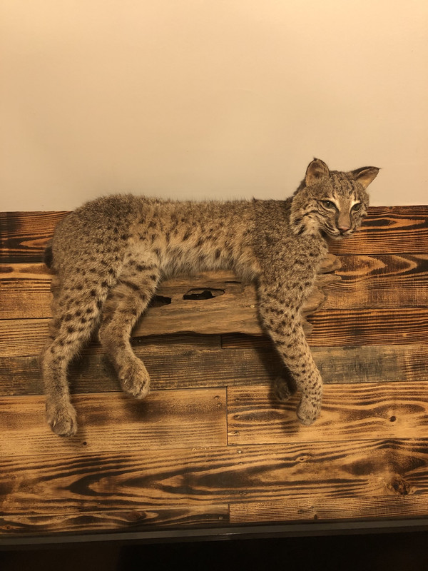 A519AA71-898B-48AA-9E47-A1BBFDCEBFC3